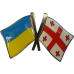 Значки Флаг Украины + флаги стран